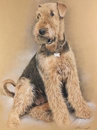 Családi kutyus portréja - "SZÍNES" ceruzarajz
